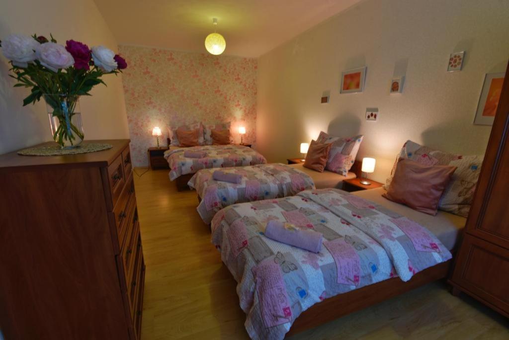 Apartmány Braníčkov Exteriér fotografie